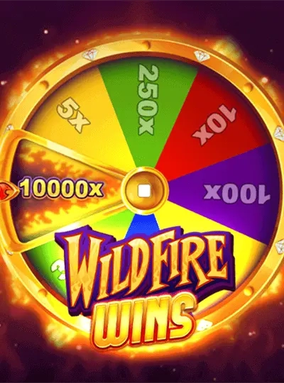 European Roulette wheel cover